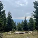Апартаменты Primorka Golte