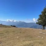 Primorka Golte