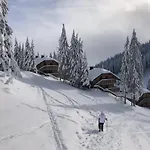 Primorka Golte *