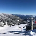 Primorka Golte *