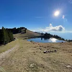 Primorka Golte * Мозирье