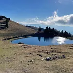 Primorka Golte * Мозирье