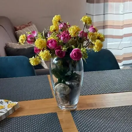 Διαμέρισμα Primorka Golte