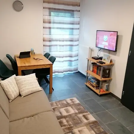 Primorka Golte Apartment *