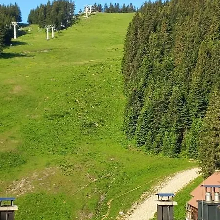 Primorka Golte Apartment Mozirje