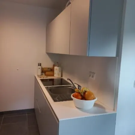 Apartment Primorka Golte Mozirje