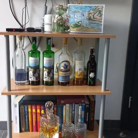 Apartment Primorka Golte Mozirje