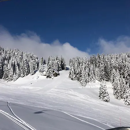 Primorka Golte * Mozirje