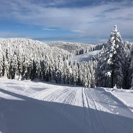 Lejlighed Primorka Golte