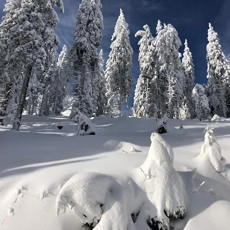 Primorka Golte Lejlighed Mozirje