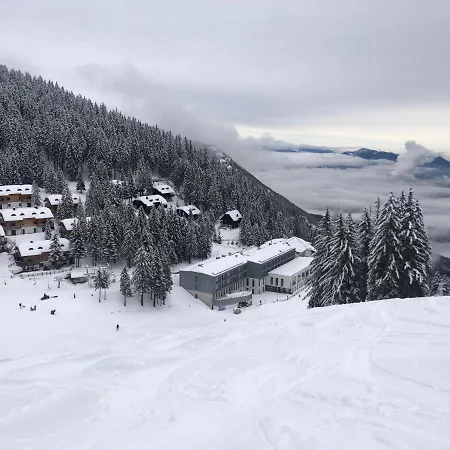 Primorka Golte Lejlighed *