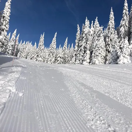 Διαμέρισμα Primorka Golte