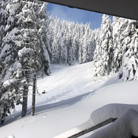 Primorka Golte * Mozirje