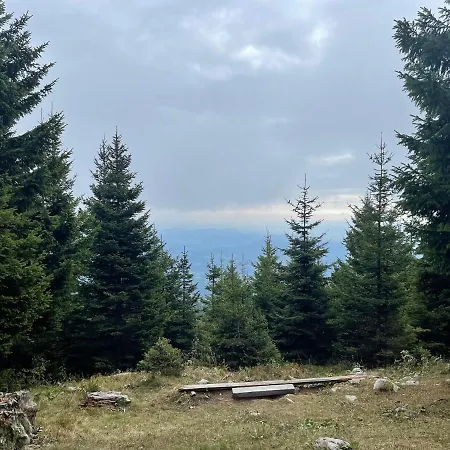 Διαμέρισμα Primorka Golte