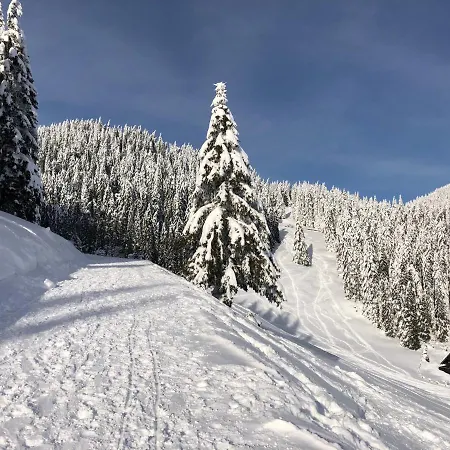 Lejlighed Primorka Golte