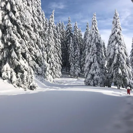 Primorka Golte Lejlighed Mozirje