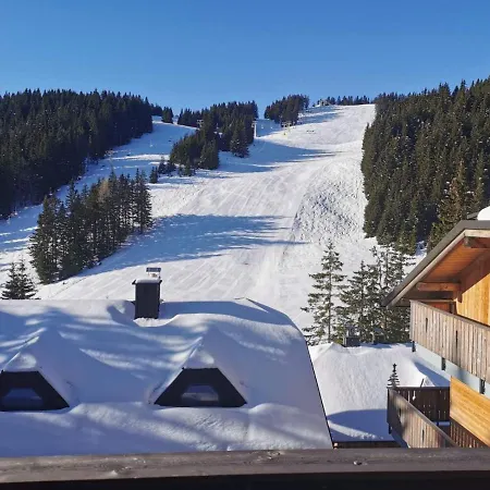 Primorka Golte Mozirje