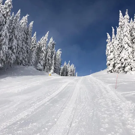 Primorka Golte Διαμέρισμα