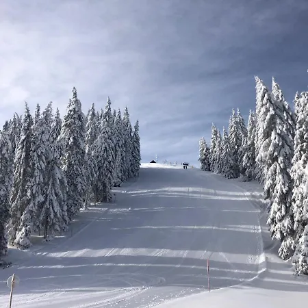 Primorka Golte Διαμέρισμα *