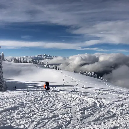 Primorka Golte Διαμέρισμα