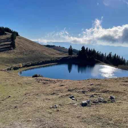 Primorka Golte * Mozirje