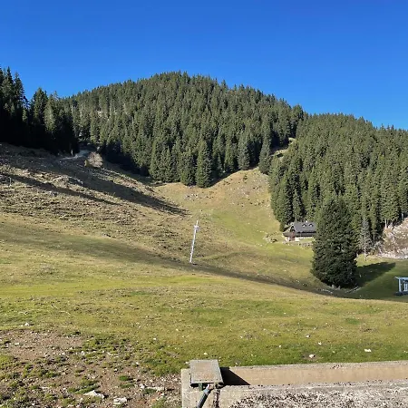 Primorka Golte Διαμέρισμα Mozirje