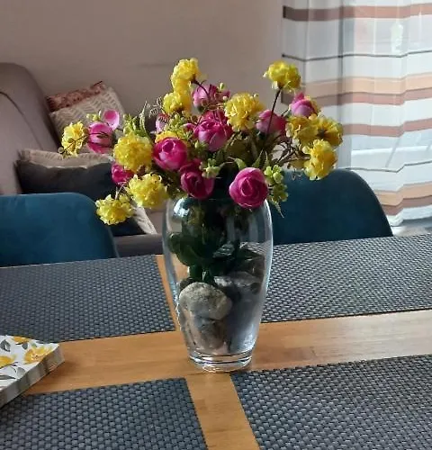 Apartmán Primorka Golte