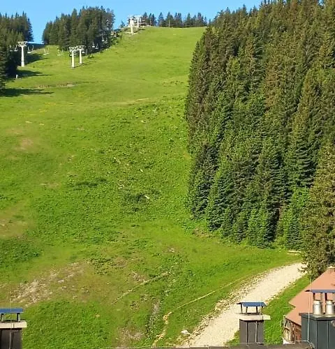 Primorka Golte Lejlighed Mozirje