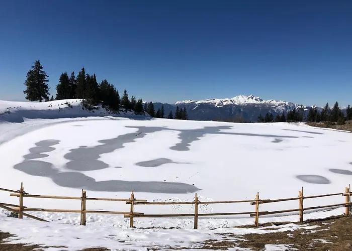 Lejlighed Primorka Golte *