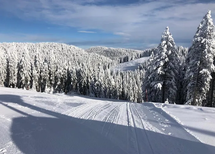 Appartamento Primorka Golte