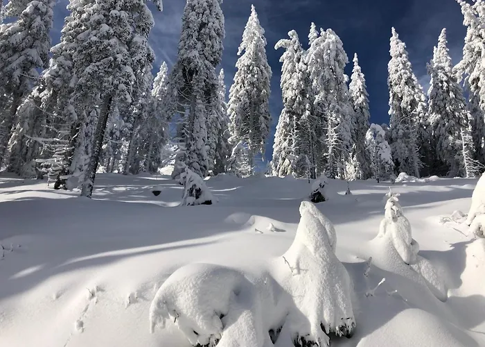 Primorka Golte Lejlighed Mozirje