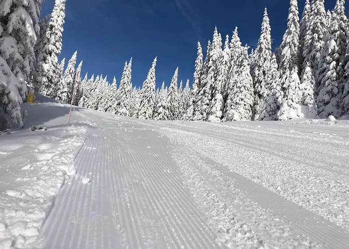 Appartamento Primorka Golte