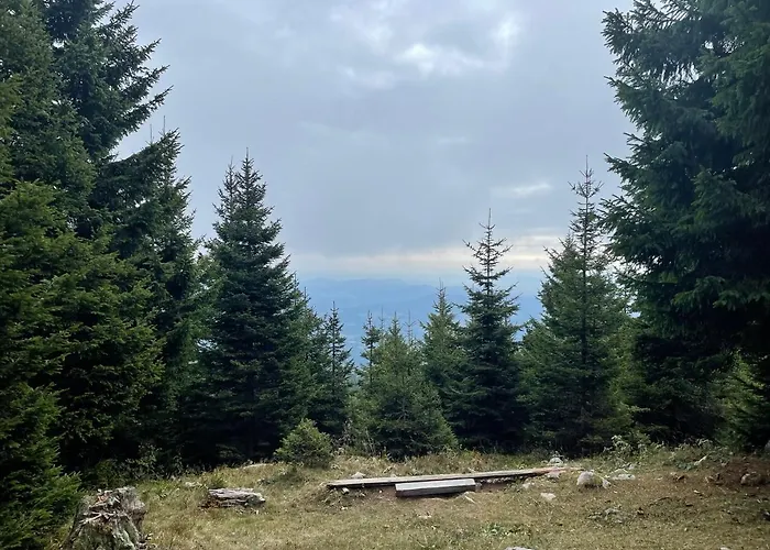 Appartamento Primorka Golte