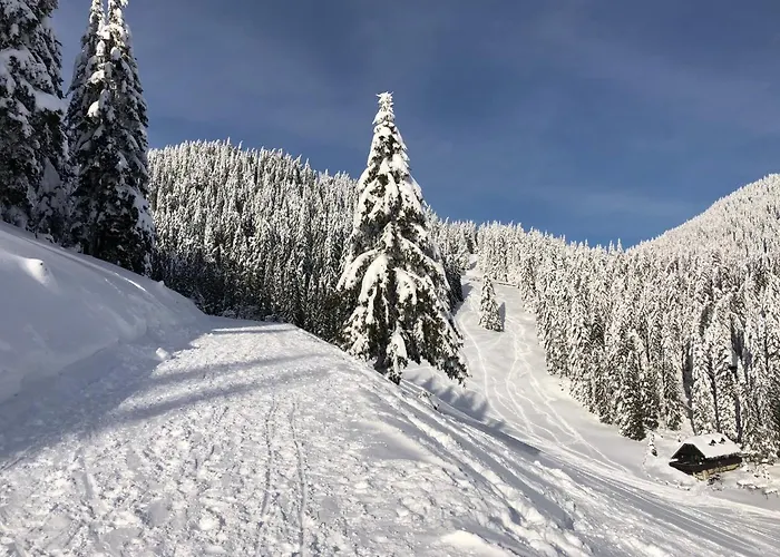 Appartamento Primorka Golte