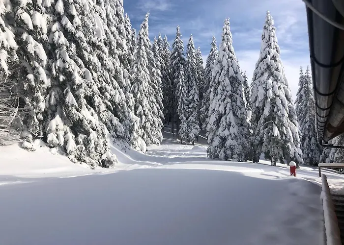 Primorka Golte Appartamento Mozirje