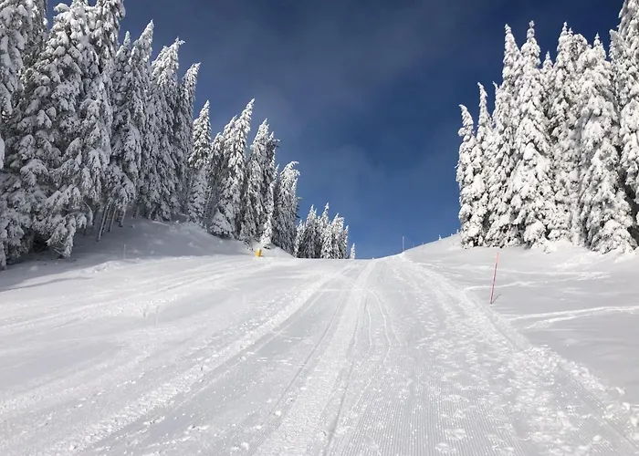 Primorka Golte Appartamento