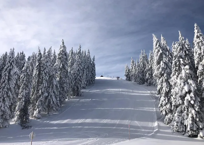 Primorka Golte Appartamento *