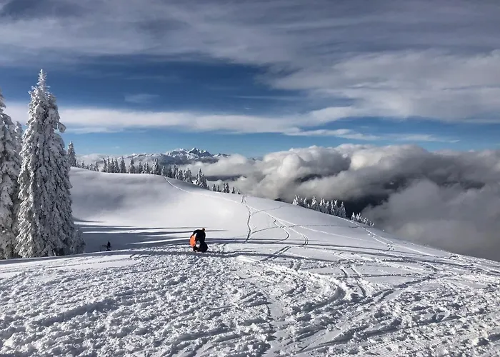 Primorka Golte Lejlighed