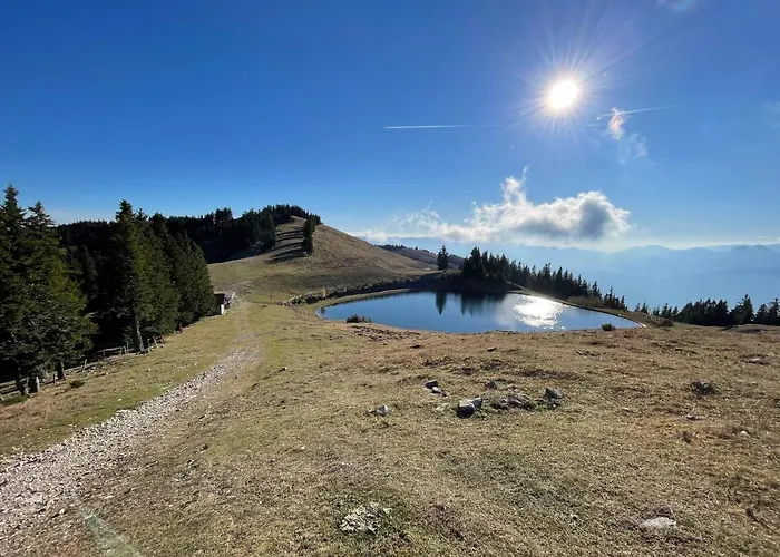 Primorka Golte * Mozirje