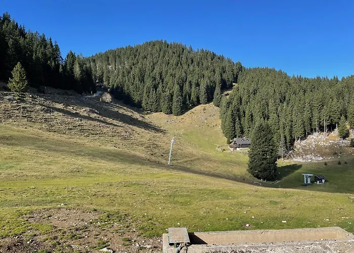 Primorka Golte Lejlighed Mozirje